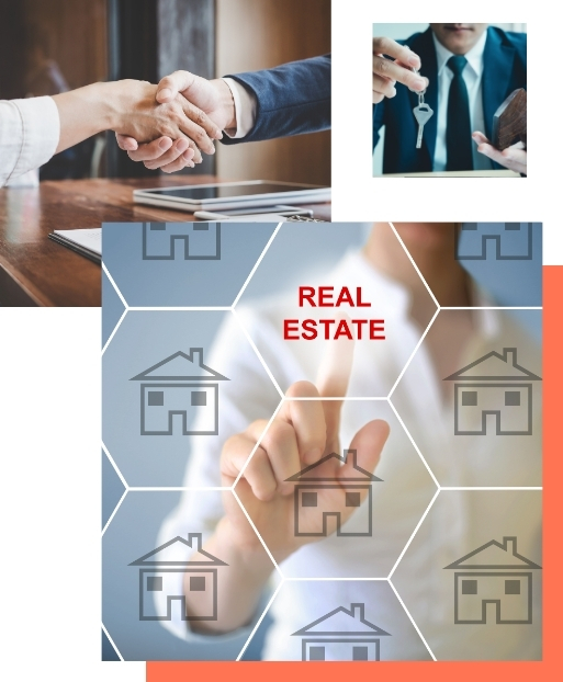 About Our Real Estate Company